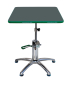 Preview: Green-T Plus Arbeitsdrehtisch eckig 54cm x 54cm